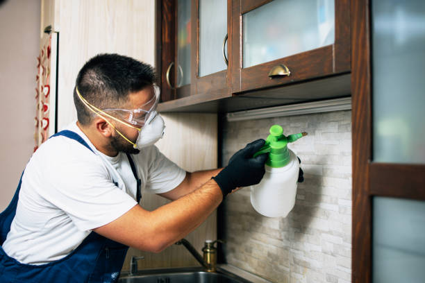 Reliable Lacon, IL Pest Control Solutions