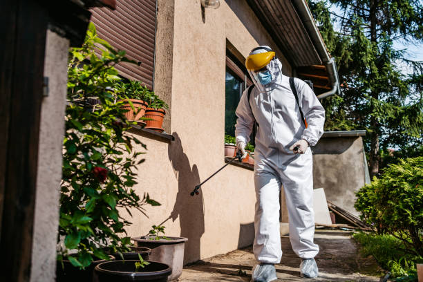 Best Termite Control Services  in Lacon, IL