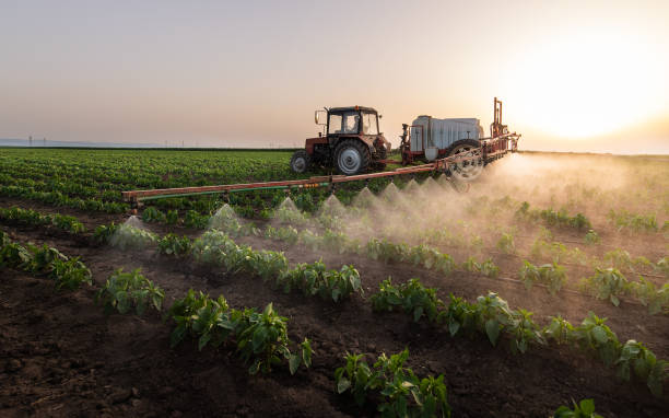 Best Ant Control Services  in Lacon, IL