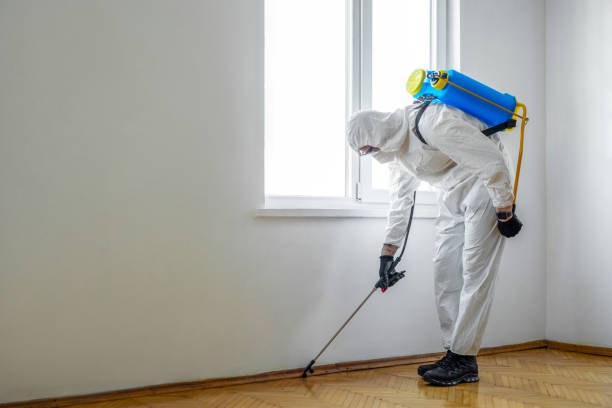Best Affordable Pest Control Services  in Lacon, IL