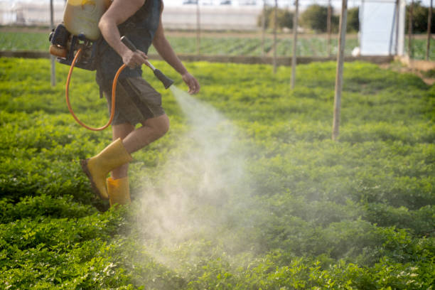 Flea Control Services in Lacon, IL