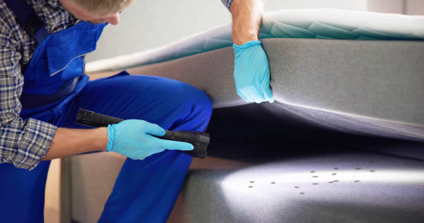 Best Pest Control Near Me  in Lacon, IL