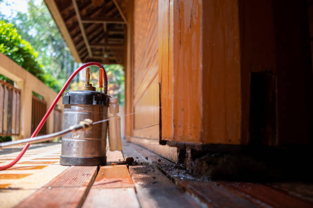 Best Affordable Pest Control Services  in Lacon, IL