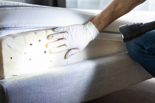 Best Pest Removal Services  in Lacon, IL