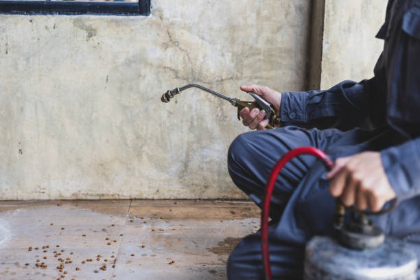 Best Wasp Removal Services  in Lacon, IL