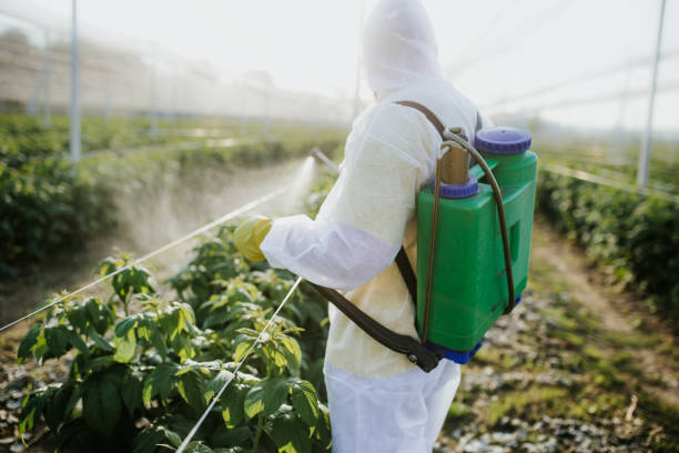 Best Mosquito Control Services  in Lacon, IL